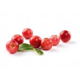 Mixit Klikva (brusinka kanadská)